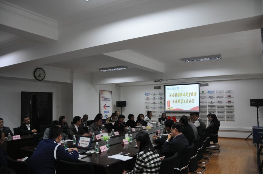 云南省保险业共保体召开第三次会议