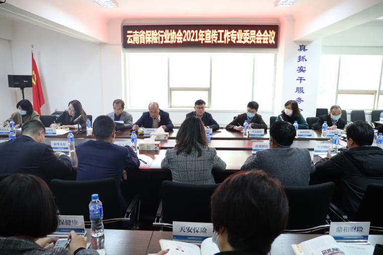 云南省保险行业协会召开 2021年宣传工作专业委员会会议