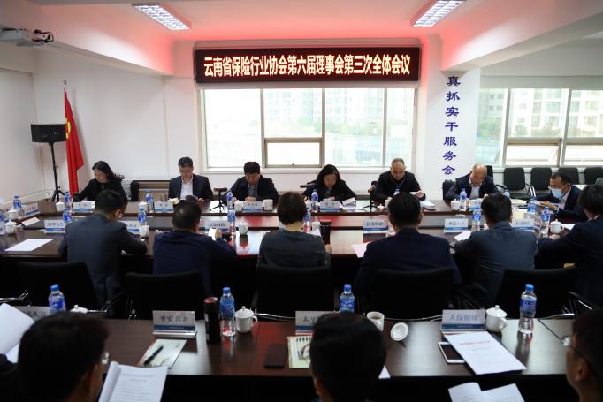 云南省保险行业协会召 开第六届理事会第三次全体会议