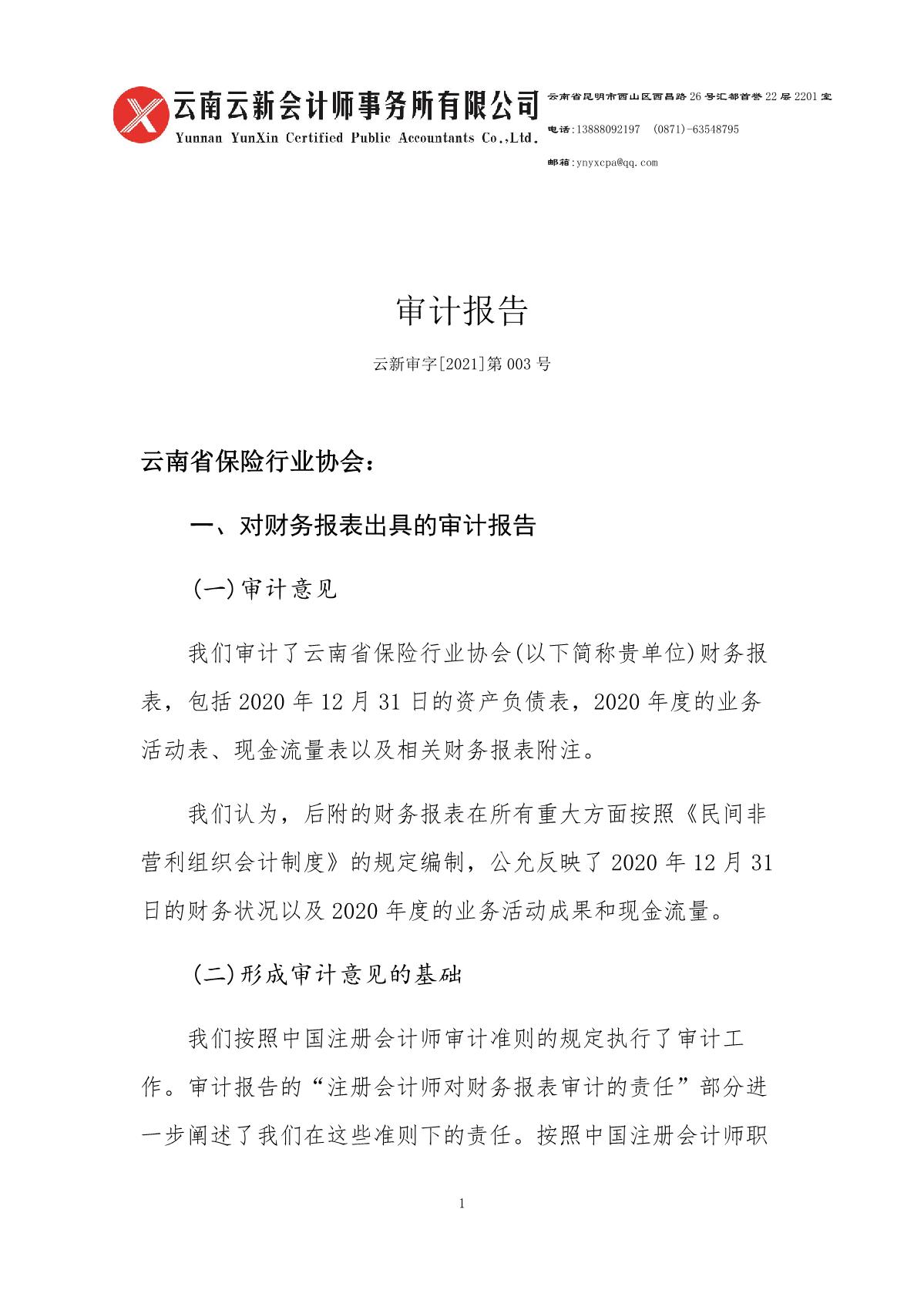 云南省保险行业协会2020年审计报告