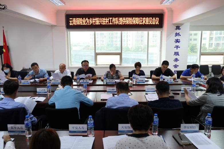 云南省保险行业协会召开为乡村振兴驻村工作队 提供保险保障征求意见会议
