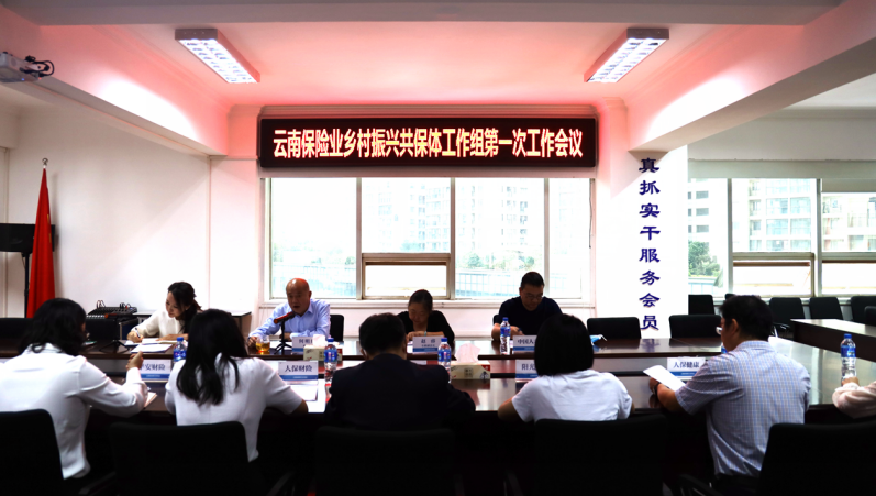 云南省保险行业协会召开 云南保险业乡村振兴共保体工作组第一次工作会议