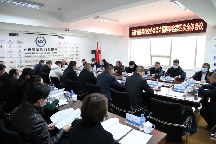云南省保险行业协会召开第六届理事会 第四次全体会议