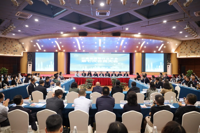 云南省保险行业协会召开第七次会员大会