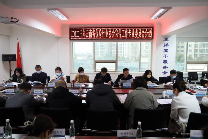 云南省保险行业协会召开 2023年宣传工作专业委员会会议