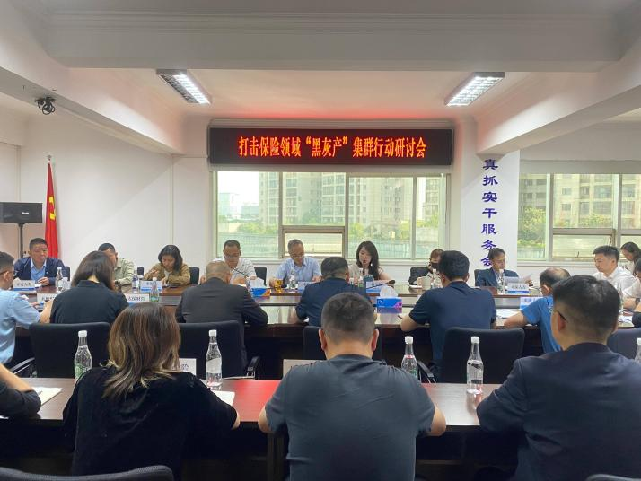 云南省保险行业协会召开打击保险领域“黑灰产”集群行动研讨会