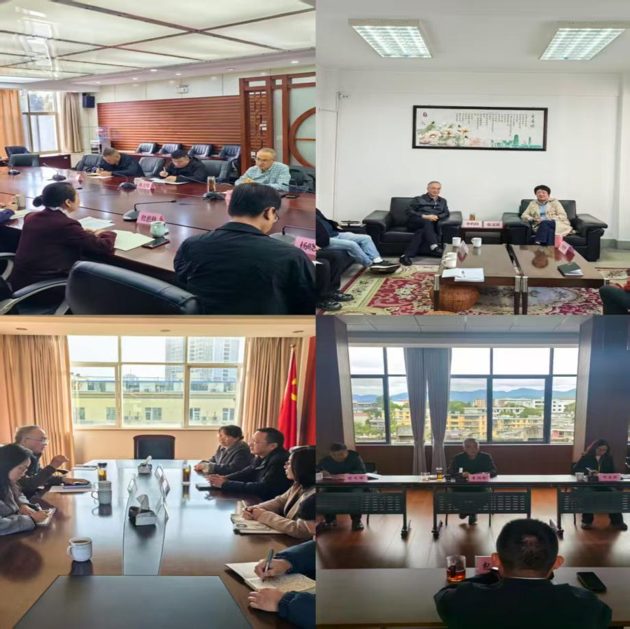 云南省保险行业协会赴州（市）保险行业协会座谈交流