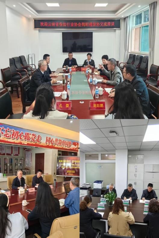 云南省保险行业协会赴州市保险行业协会交流座谈