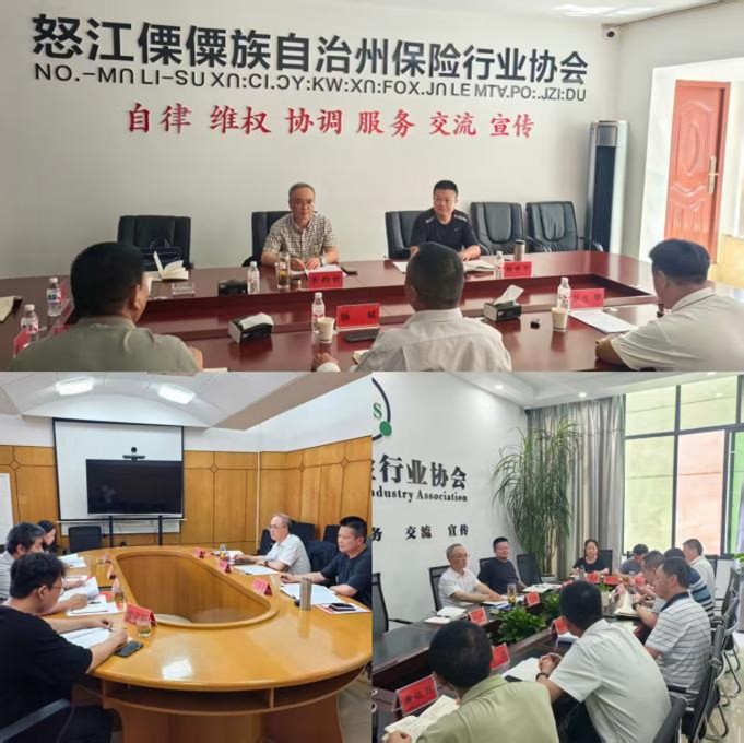 云南省保险行业协会赴怒江、德宏、保山州市保险行业协会座谈交流